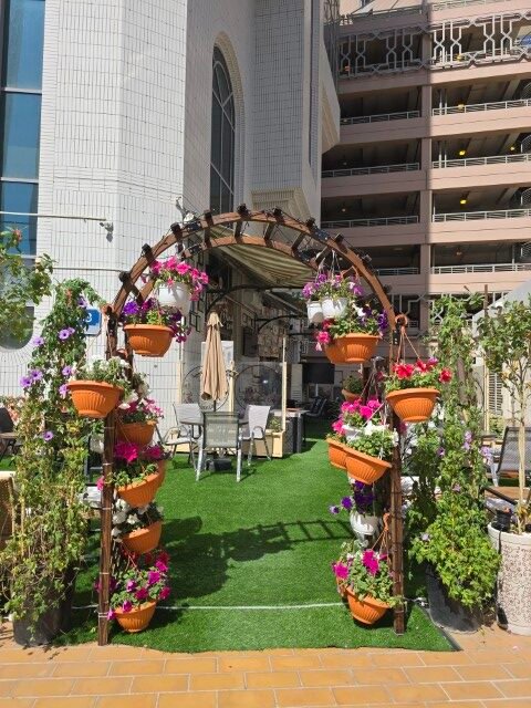 Dine in at Transilvania Cafe