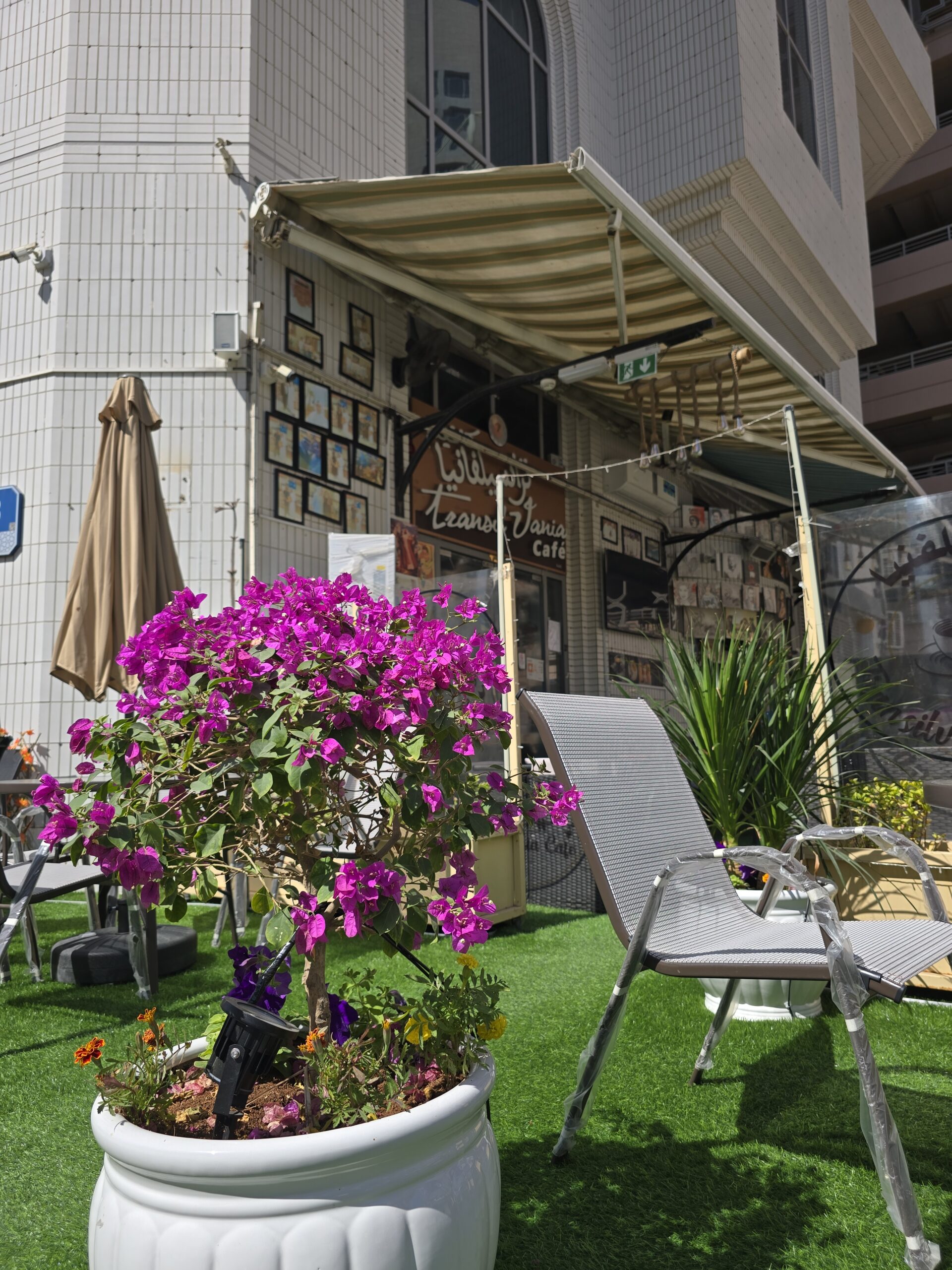 Window seats at Transilvania Cafe